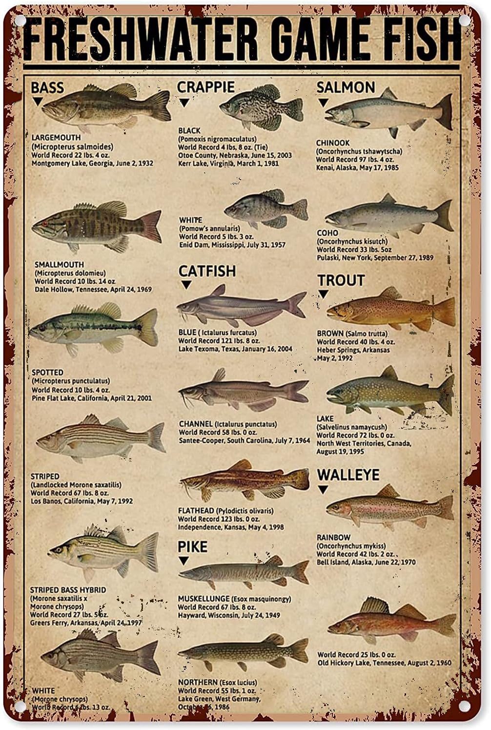 Y1, Poster artistici da pesca, - Retro Gaming Decor recensione e prezzo
