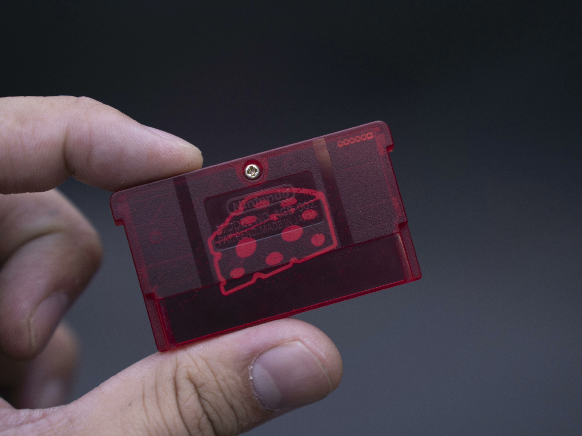 Cartuccia Flash GBA ChisFlash  - Rom Cartridge Flash recensione e prezzo